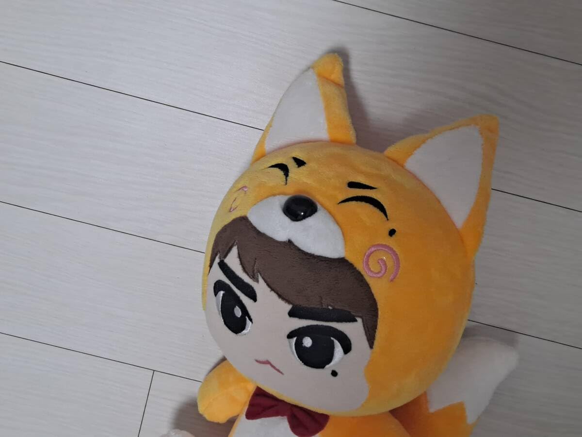 Amazon.co.jp: ソ イングクぬいぐるみ エディンイソイングク FC